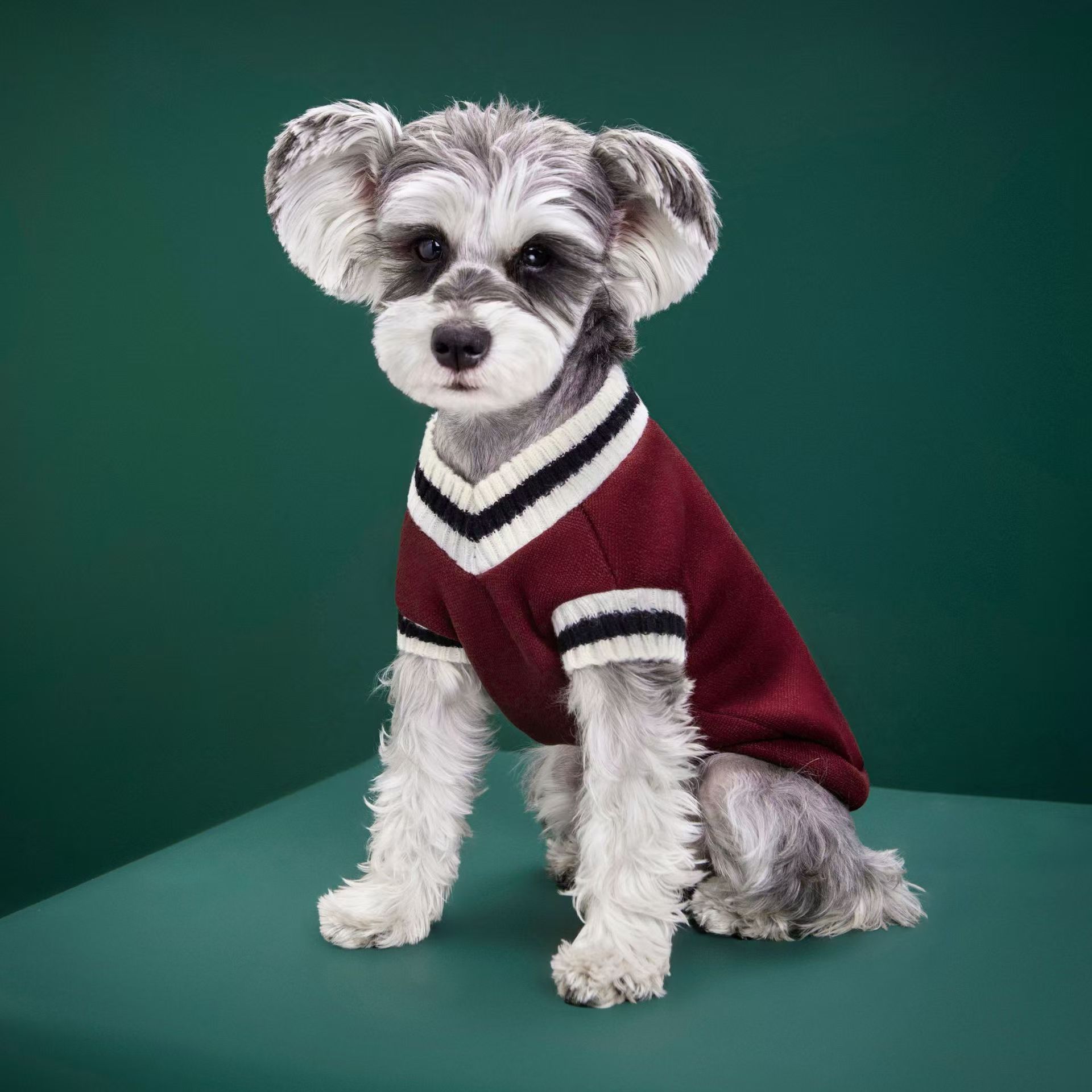 Fabricante de Roupas para Cães - Winter Clothing Manufacturers avaliação e preço